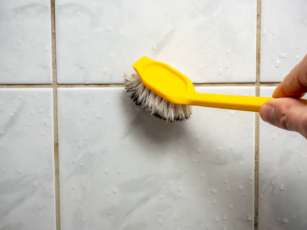 Best Residential Mold Remediation in Cumberland, MD