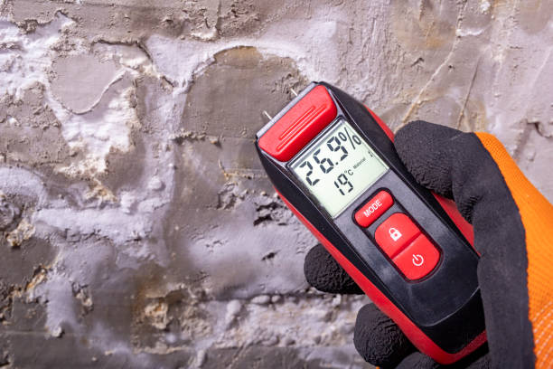 Best Health and Safety Mold Remediation in Cumberland, MD